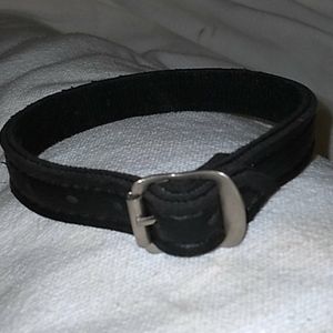 leather puppy or sm/dog collar